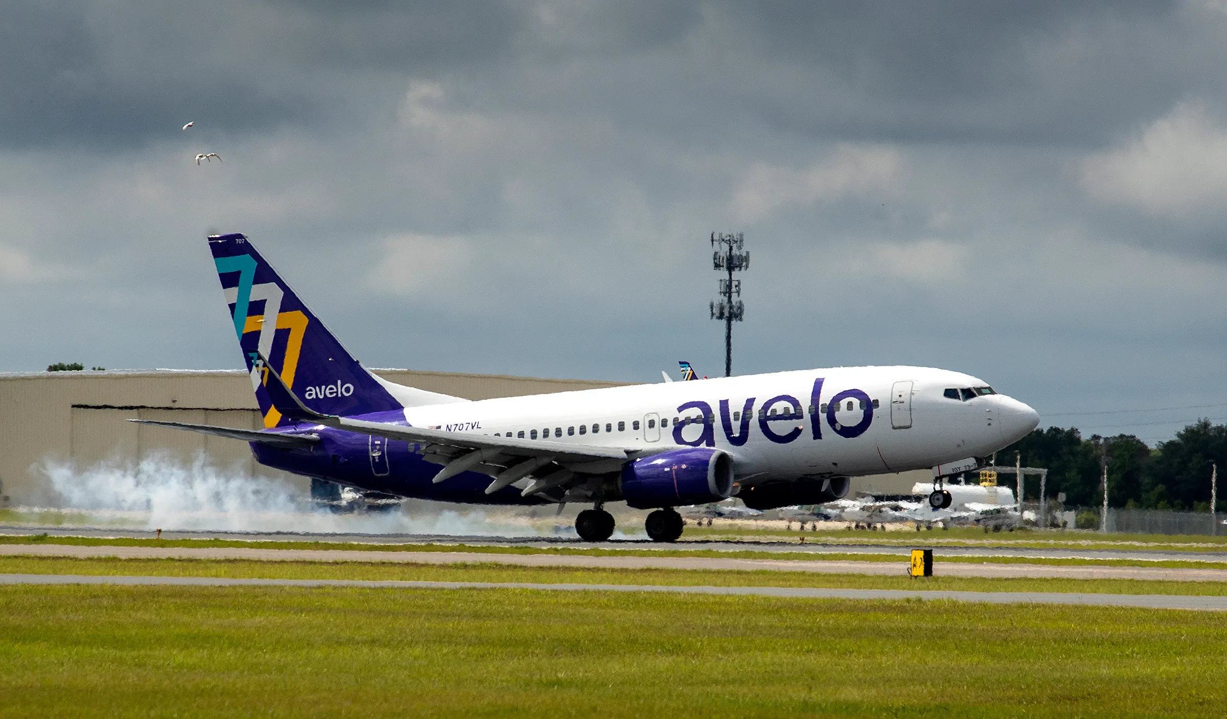 avelo airlines